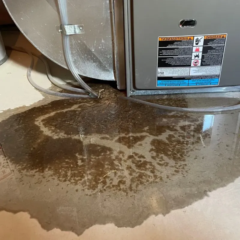 Pipe Burst and Leak Restoration in Ozark, MO