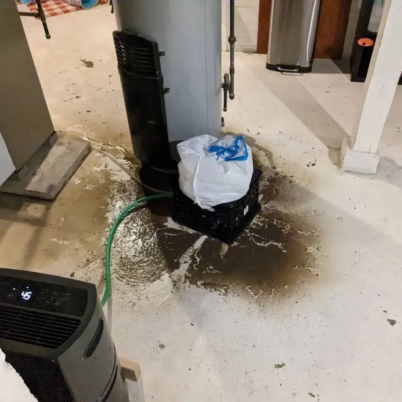 Sewage Backup Cleanup Service in Ozark, MO